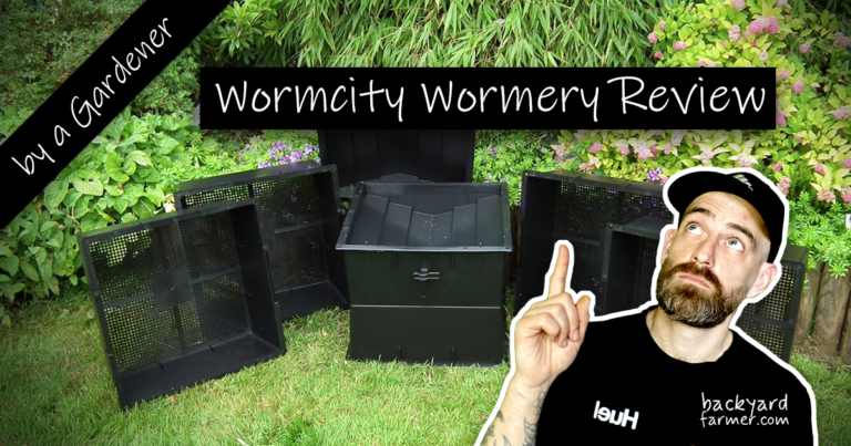 Wormcity wormery review