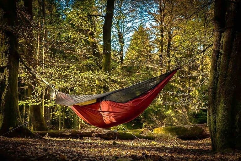 A Warbonnet hammock suspended between two trees in a lush forest with sunlight streaming through the canopy, highlighting the hammock's durability and comfort in an idyllic camping scene.