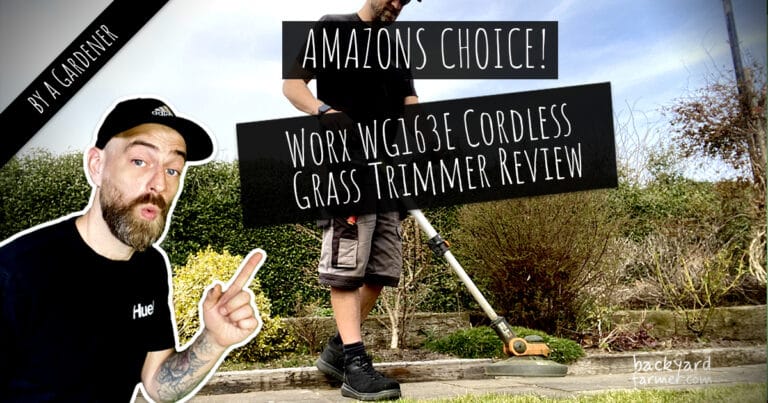 Worx WG163E Cordless Grass Trimmer Review