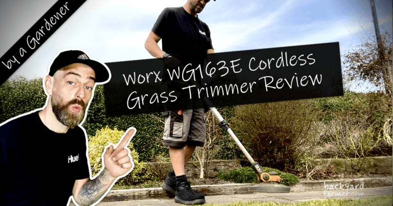 Worx WG163E Cordless Grass Trimmer Review