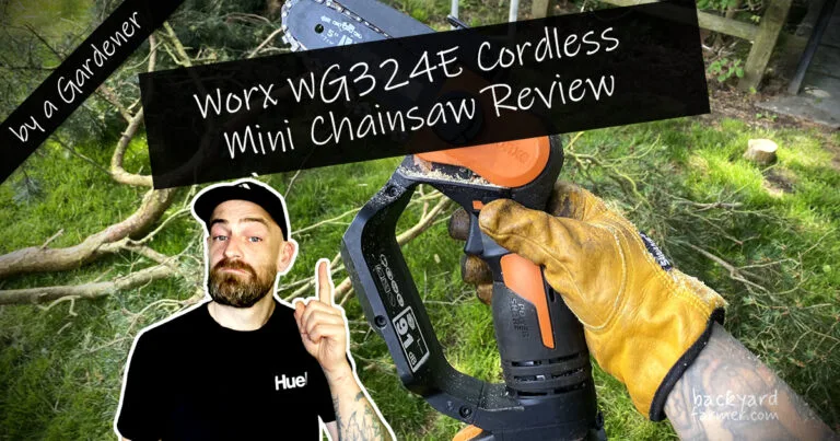 Worx WG324E Cordless Mini Chainsaw