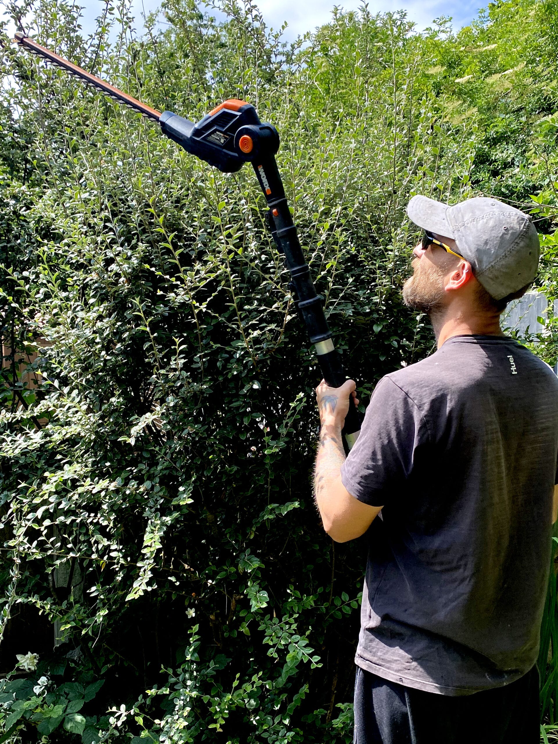 Using the Worx WG252E to trim tall hedge at full extension with adjustable cutting head angled upward