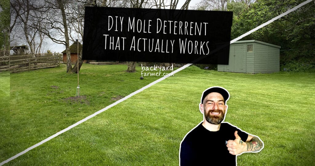 DIY Mole Deterrent setup in a garden using a wind-powered Mole-Mill, featuring a man giving a thumbs up with the text 'DIY Mole Deterrent That Actually Works
