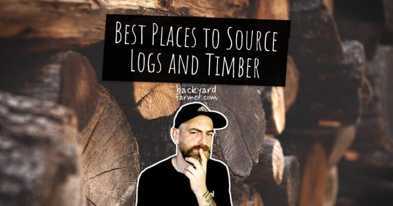 Best Places to Source Logs and Timber