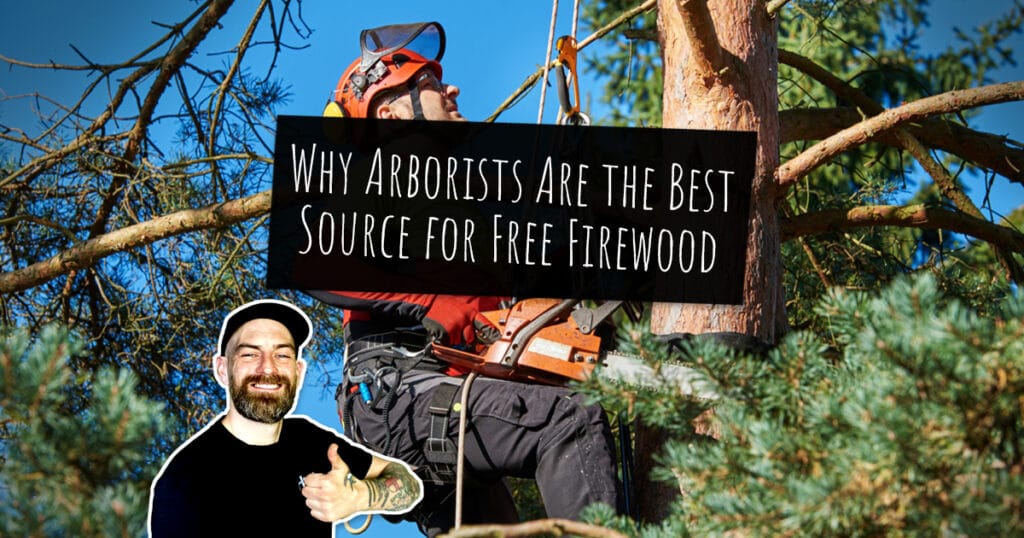 Why Arborists Are the Best Source for Free Firewood