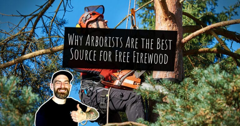 Why Arborists Are the Best Source for Free Firewood