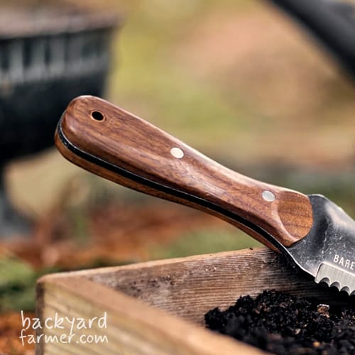 a walnut handle poking out of a raised bed