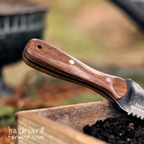 a walnut handle poking out of a raised bed