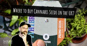 Where to Buy Cannabis Seeds in the UK