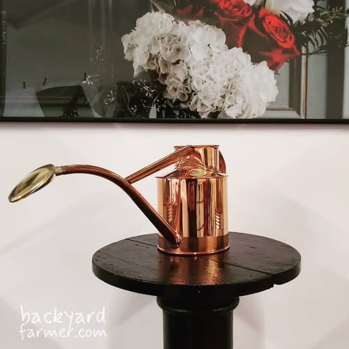 haws rowley ripple rose brass