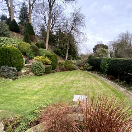 A large garden in the UK