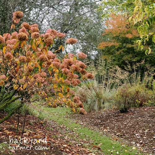 A medium sized garden uk
