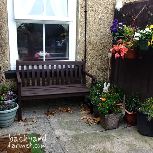 A small courtyard garden