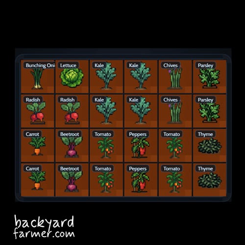 6x4 square foot allotment layout