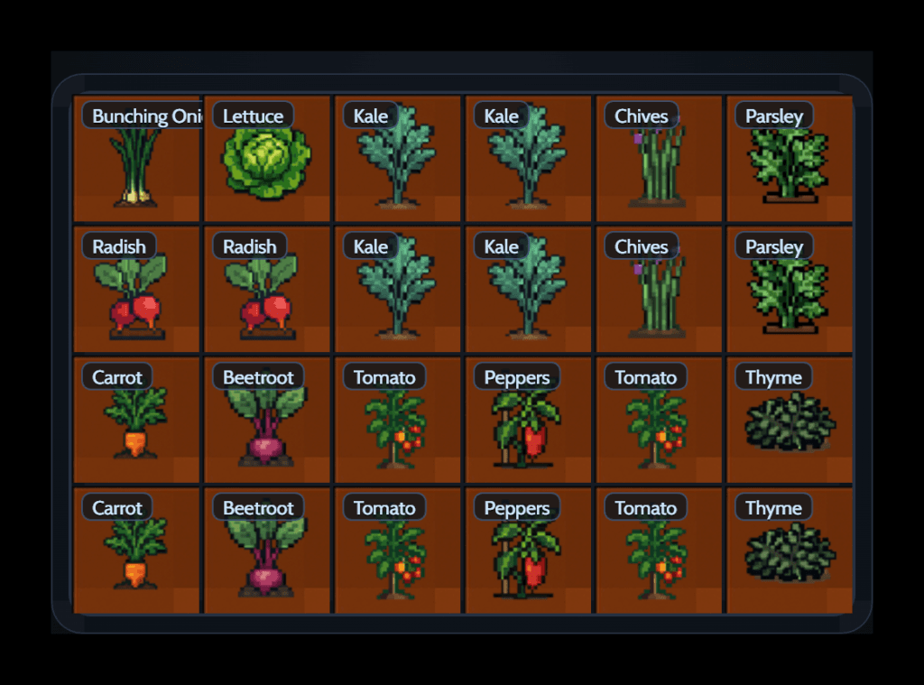 6x4 Allotment layout