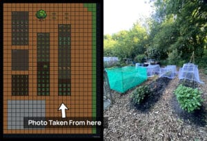 My allotment garden planned on the free BYF allotment planner