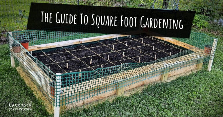 Square Foot Gardening UK