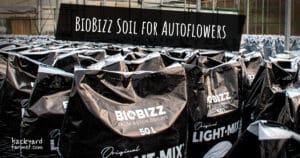 BioBizz Soil for Autoflowers