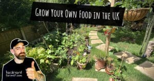 Grow Your Own Food in the UK