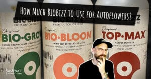 how much biobizz for autoflower
