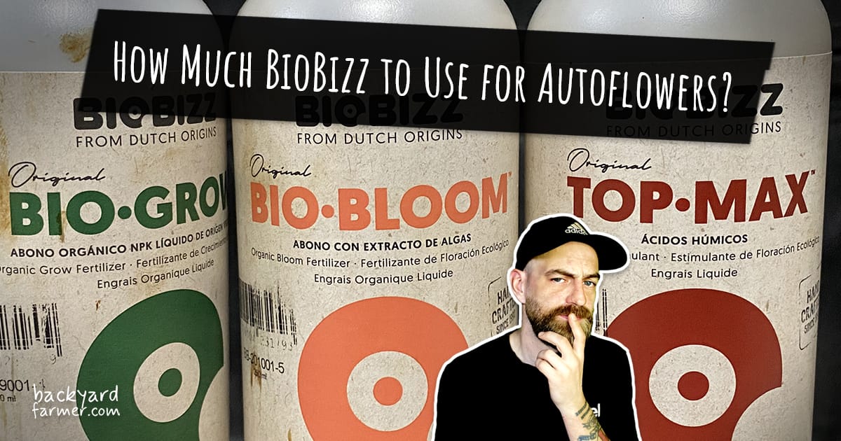 Table Biobizz How Much BioBizz to Use for Autoflowers? Hands on Advice