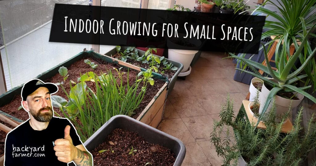 indoor growing for small spaces