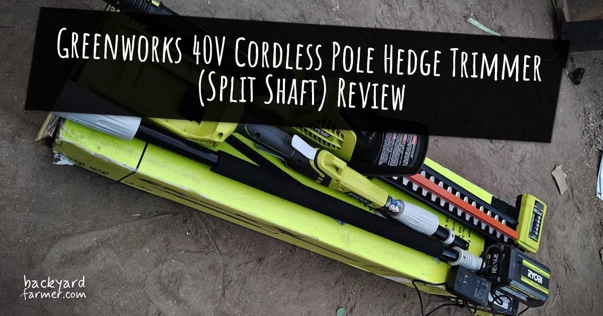 Ryobi ONE+ 18V Pole Hedge Trimmer Review (RPT184520)