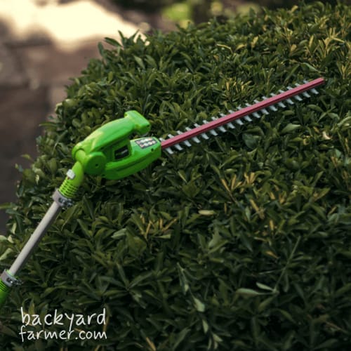 Greenworks G40PHA Cordless Pole Hedge Trimmer 