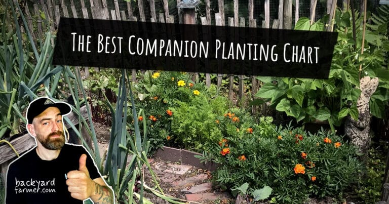 The Best Companion Planting Chart