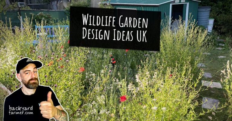 Wildlife Garden Design Ideas UK