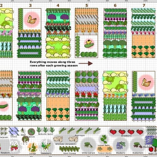 grow veg planner