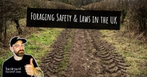 Foraging Safety & Laws in the UK