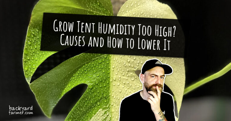 Grow Tent Humidity Too High