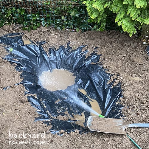 dig a natural shaped hole for a wildlife pond
