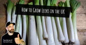 How to Grow Leeks in the UK