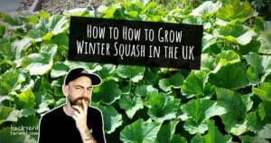 How to Grow Winter Squash in the UK