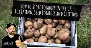 How to Store Potatoes in the UK For Eating, Seed Potatoes and Chitting