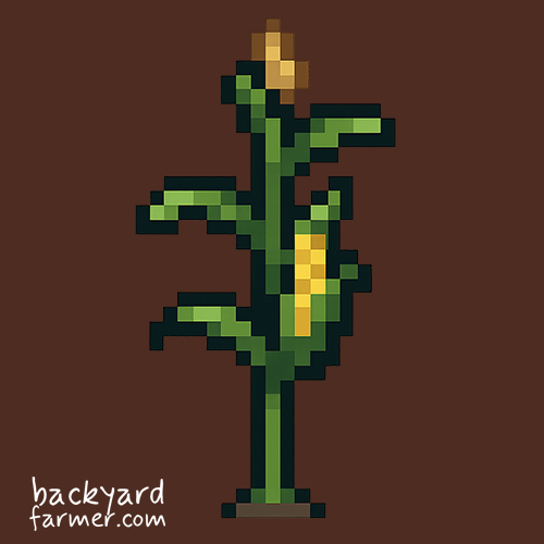 Sweetcorn icon from the allotment planner
