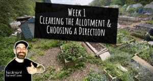Clearing the Allotment & Choosing a Direction