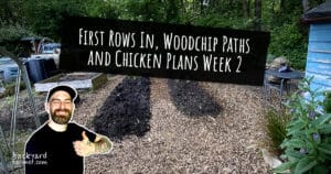 allotment diary week 2