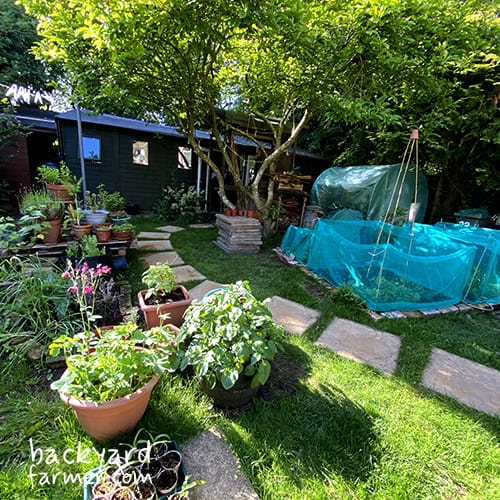 simplify gardening with backyard farmer