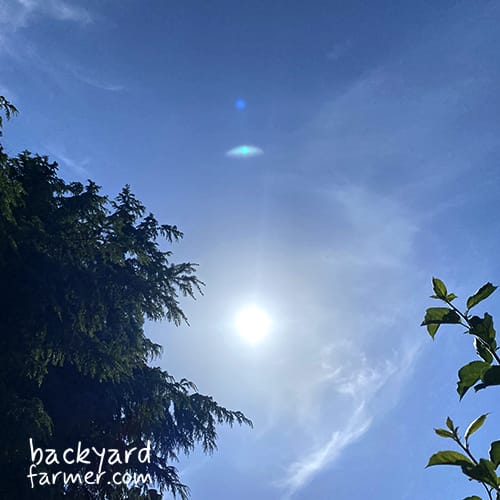 summer sun in the UK