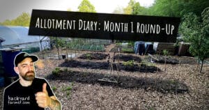 Allotment Diary Month 1 Round-Up
