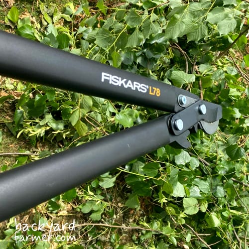 Fiskars PowerGear Bypass Loppers