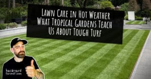 What Tropical Gardens Teach Us About Tough Turf