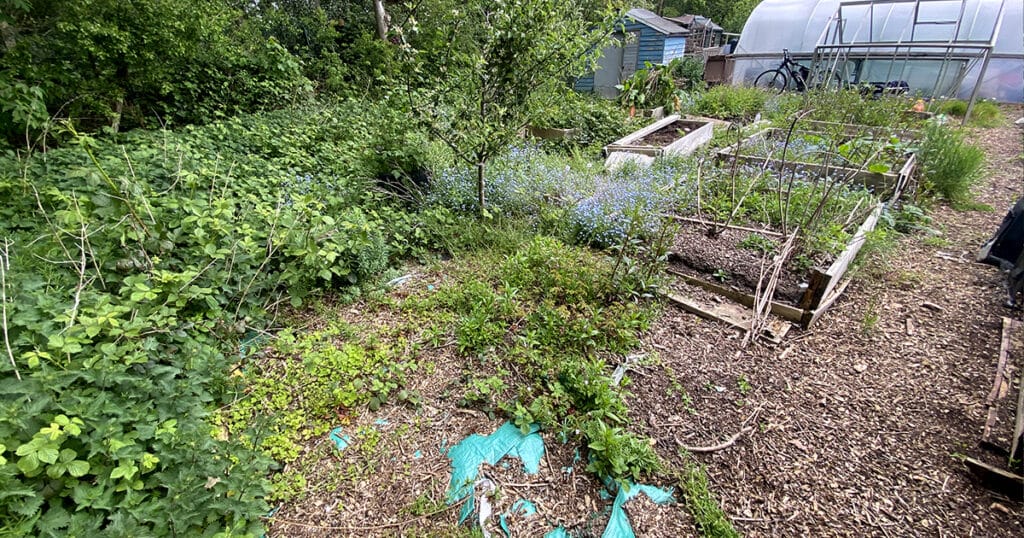 allotment day 1