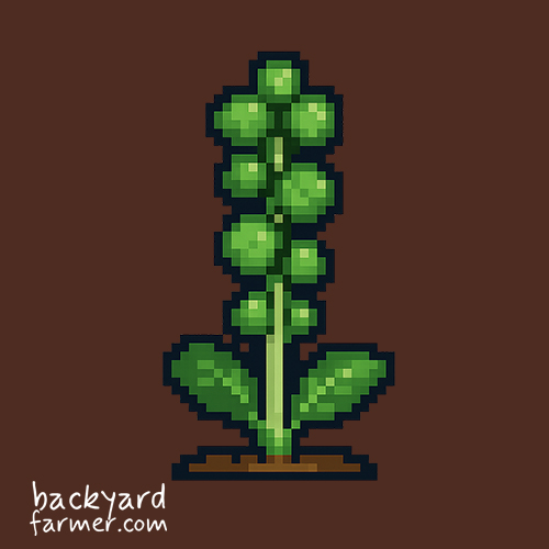 brussels sprout icon in the free allotment planner