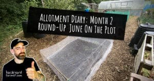 Allotment Diary Month 2 Round-Up June On The Plot
