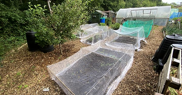Allotment in month 2