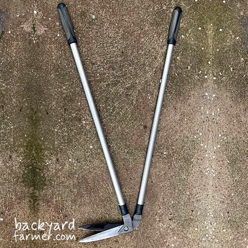 Burgon & Ball RHS Edging Shears